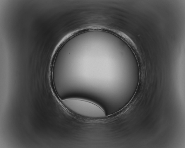 X0000085081183200703051102