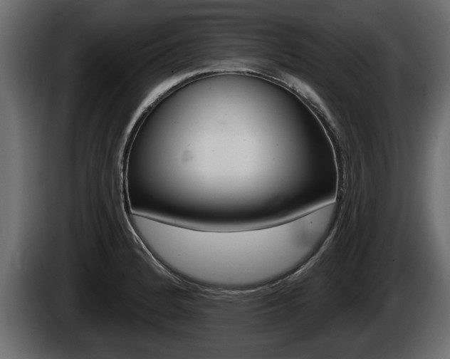 X0000085081184200703051102