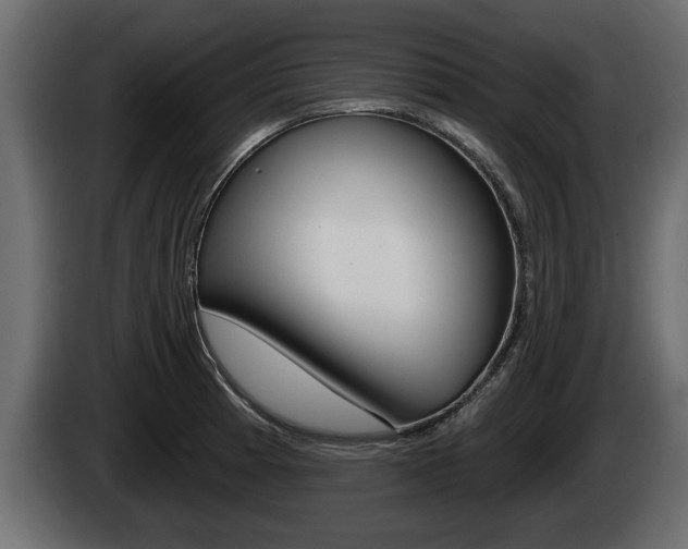 X0000085081185200703051102