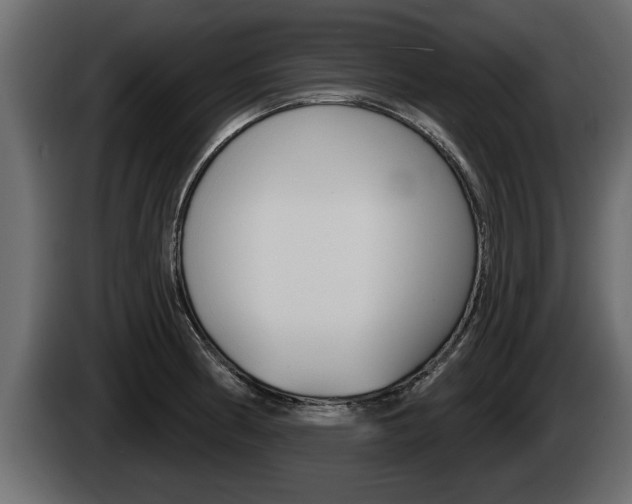 X0000085081186200703051102