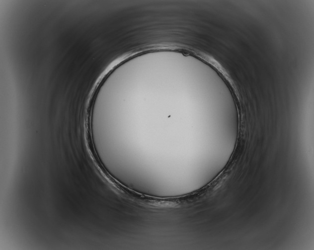 X0000085081187200703051102