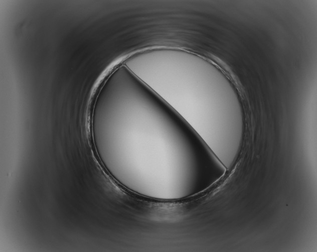 X0000085081188200703051102