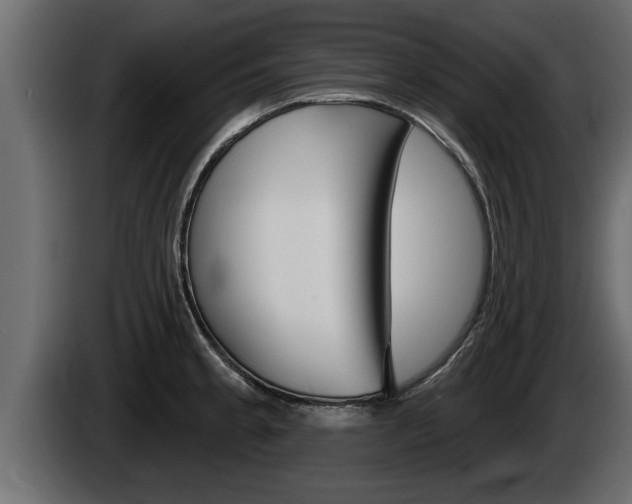 X0000085081189200703051102