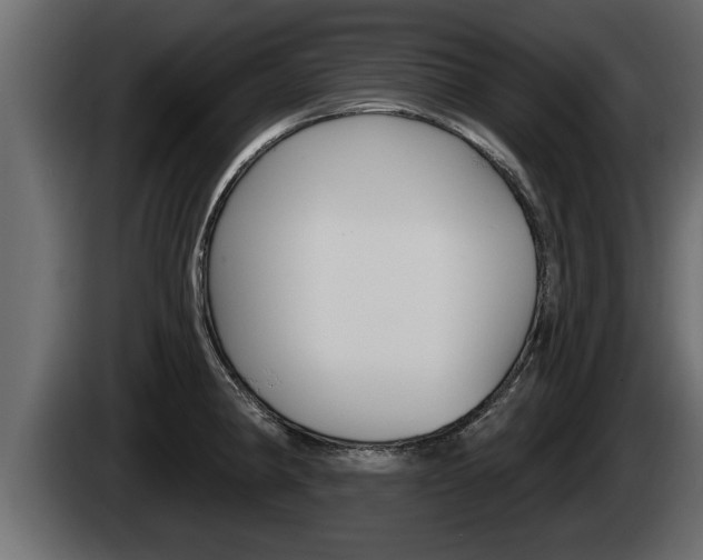 X0000085081190200703051102