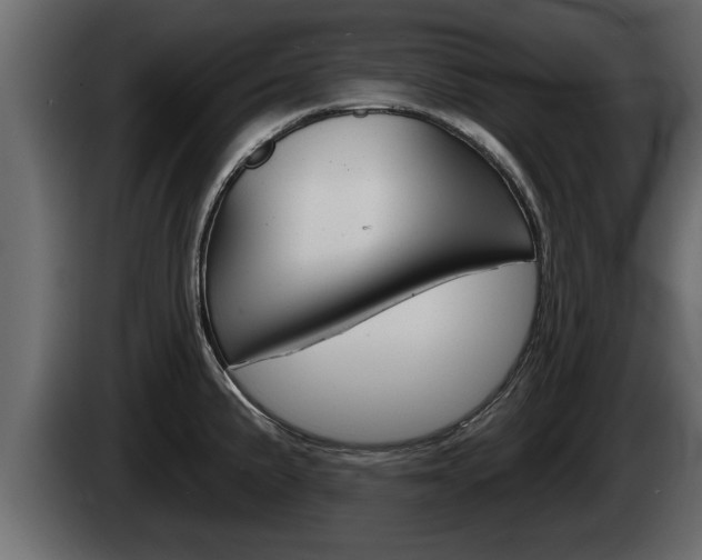 X0000085081191200703051102