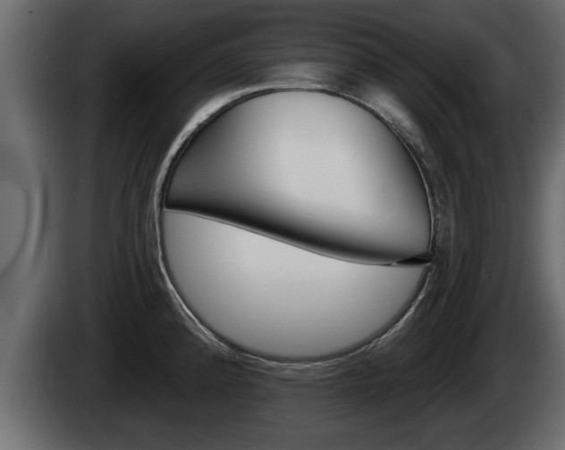 X0000085081192200703051102