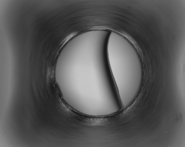 X0000085081193200703051102