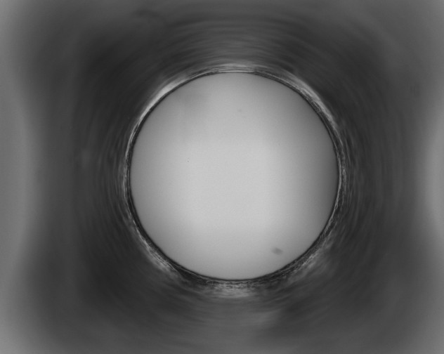 X0000085081194200703051102