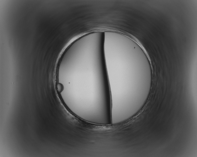X0000085081195200703051102