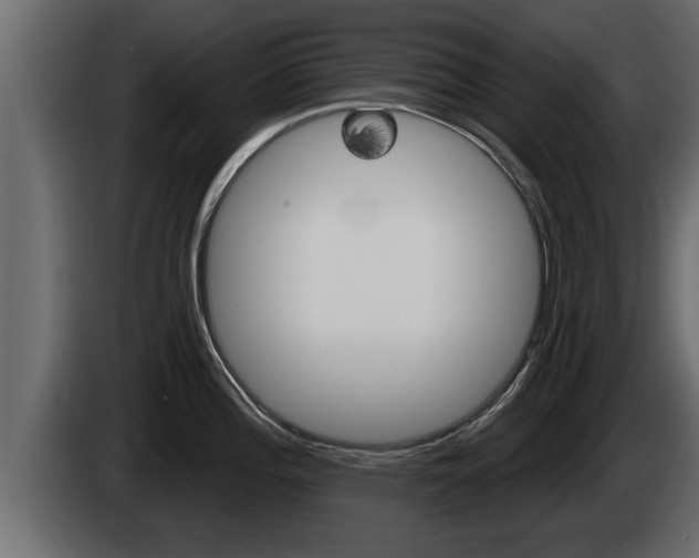 X0000085081196200703051102