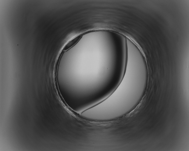X0000085081197200703051102