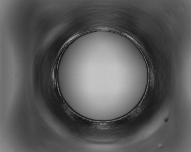 X0000085081198200703051102