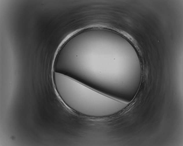 X0000085081199200703051102