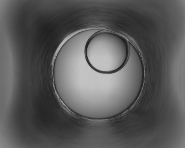 X0000085081200200703051102