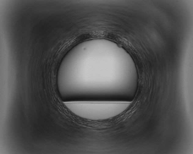 X0000085081201200703051102