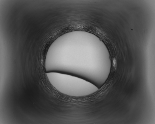 X0000085081203200703051102