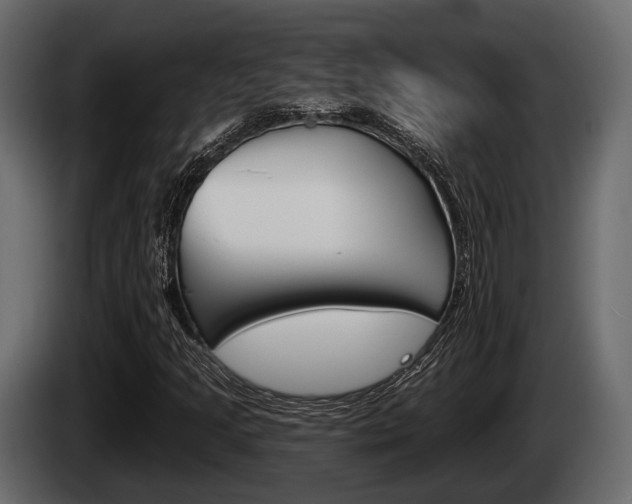 X0000085081205200703051102