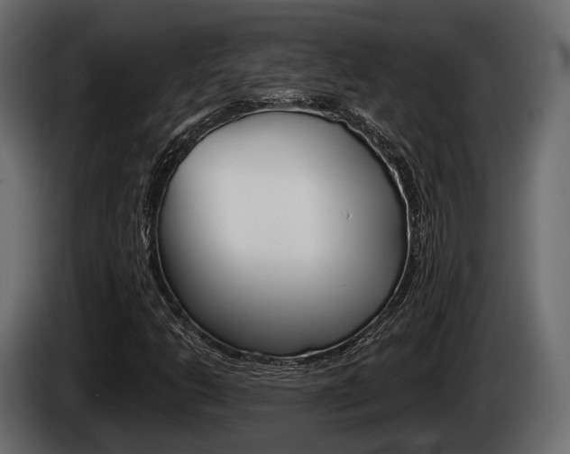 X0000085081206200703051102