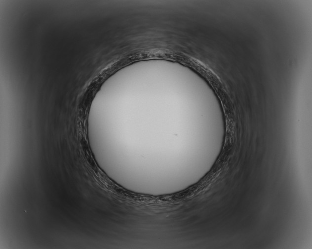 X0000085081207200703051102