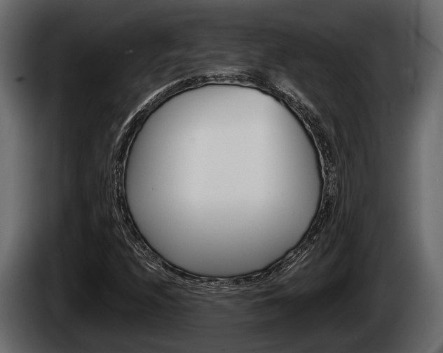 X0000085081208200703051102