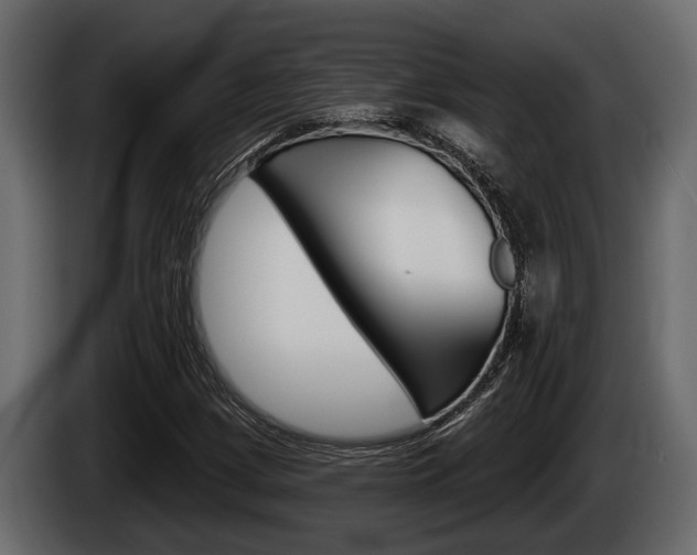 X0000085081209200703051102