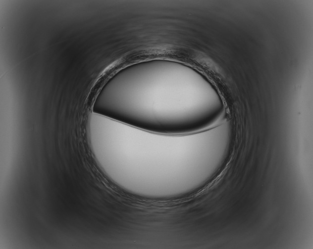 X0000085081210200703051102