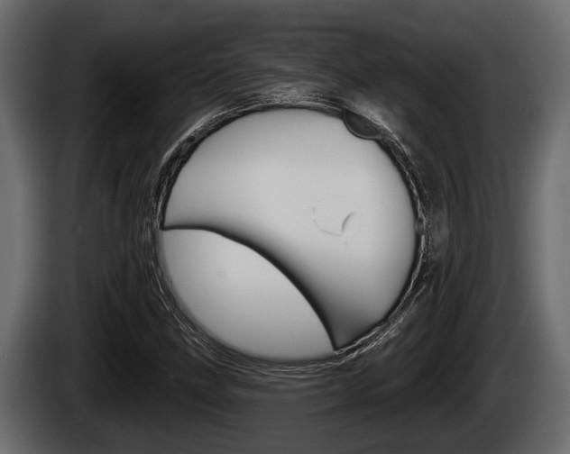 X0000085081211200703051102