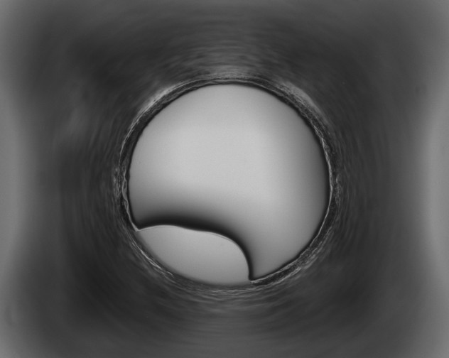 X0000085081212200703051102