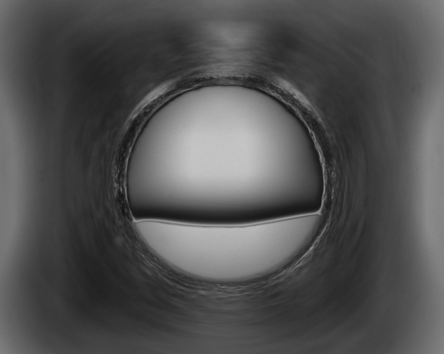 X0000085081213200703051102