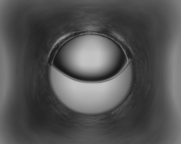 X0000085081214200703051102