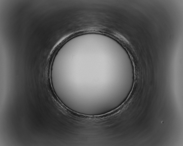 X0000085081216200703051102