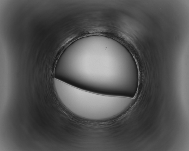 X0000085081217200703051102