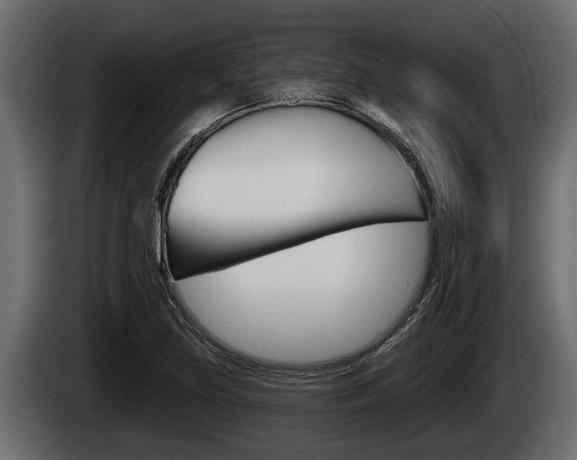 X0000085081219200703051102