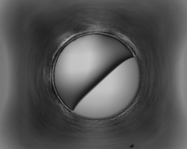 X0000085081220200703051102