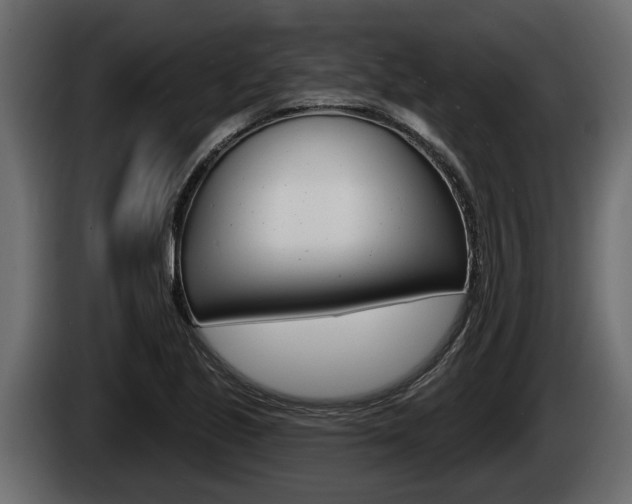 X0000085081221200703051102