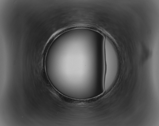 X0000085081222200703051102