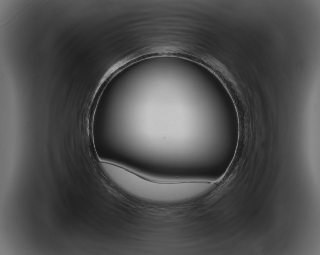 X0000085081226200703051102