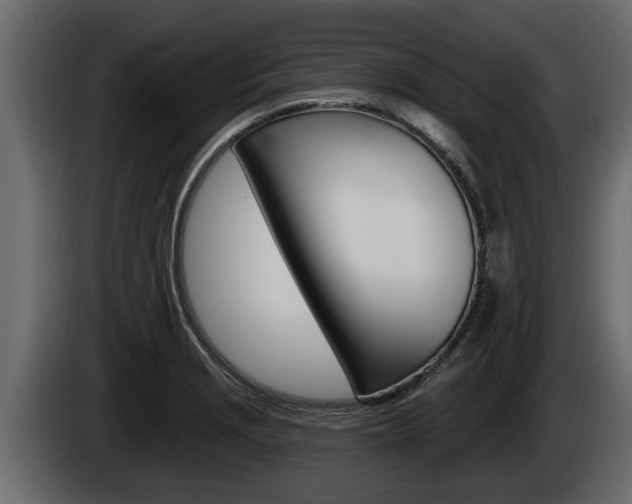 X0000085081229200703051102