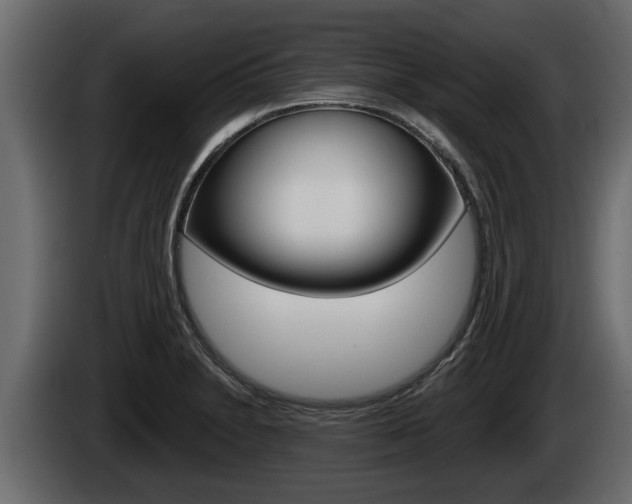 X0000085081230200703051102