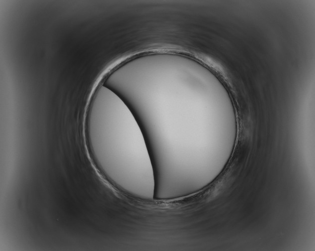 X0000085081231200703051102