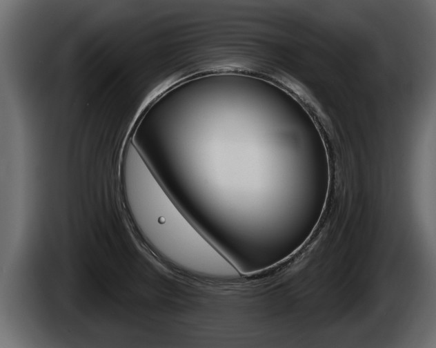 X0000085081234200703051102
