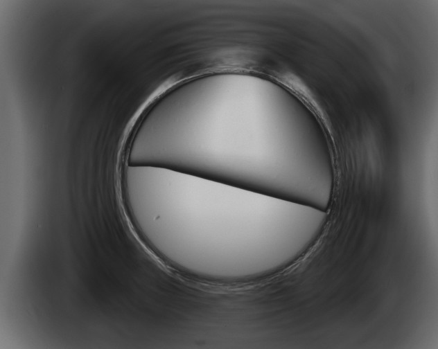X0000085081235200703051102