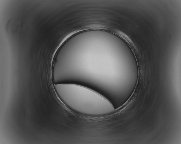 X0000085081236200703051102