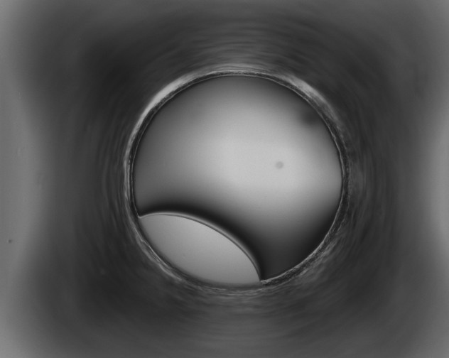 X0000085081238200703051102