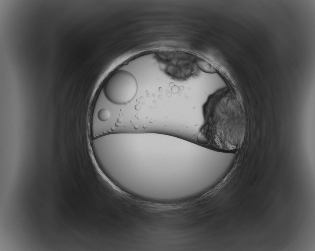 X0000085081239200703051102