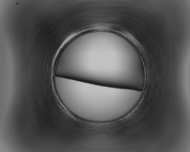 X0000085081240200703051102