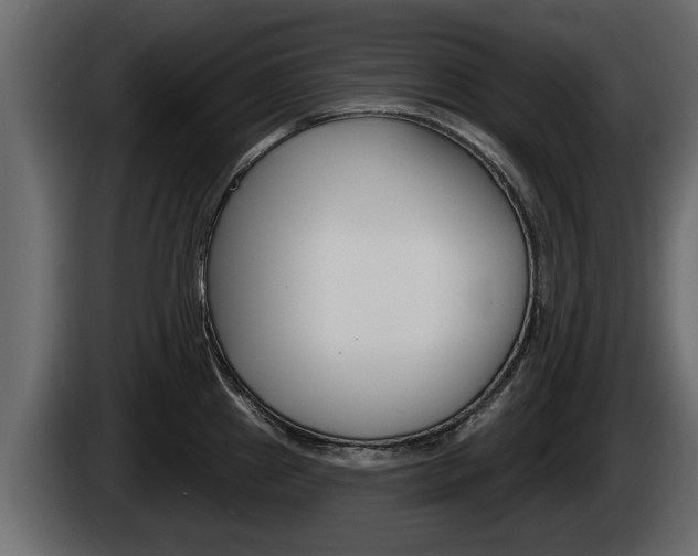 X0000085081241200703051102