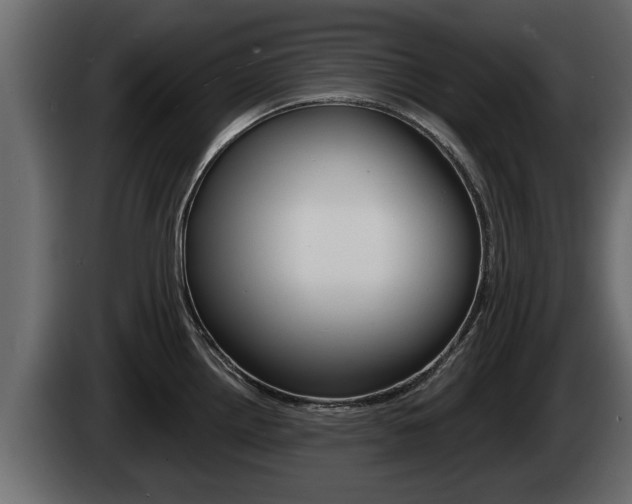 X0000085081242200703051102