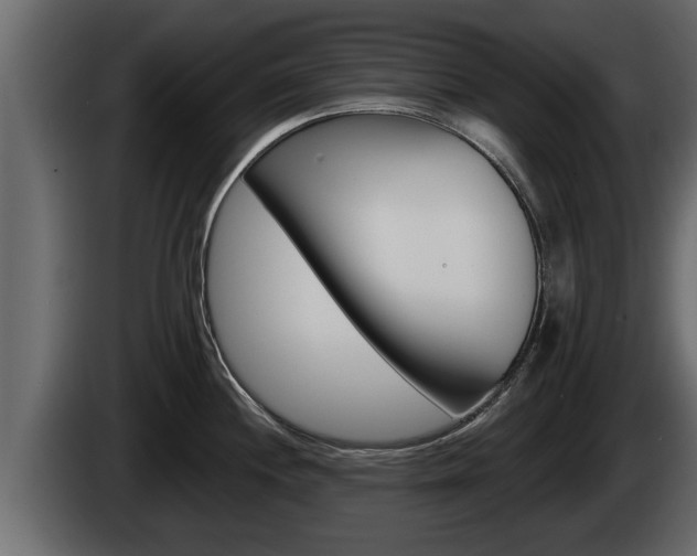 X0000085081244200703051102
