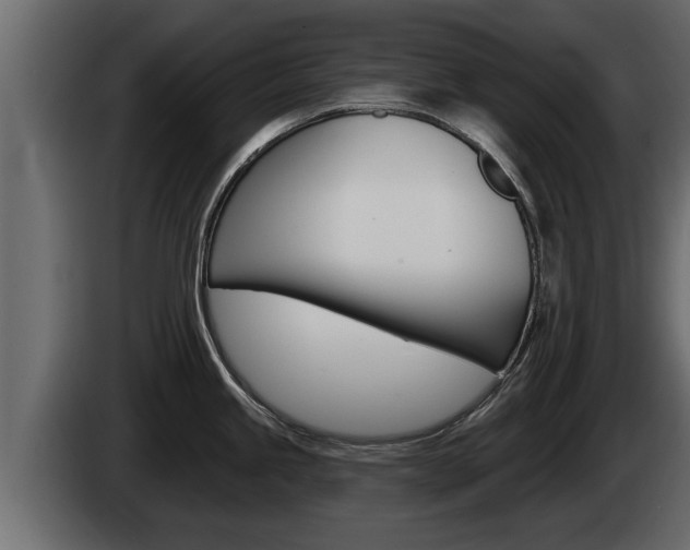 X0000085081245200703051102